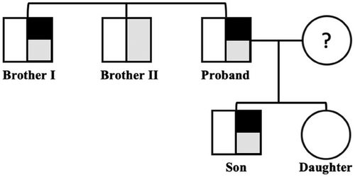 Details are in the caption following the image
