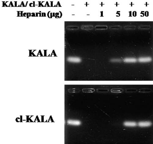 Details are in the caption following the image