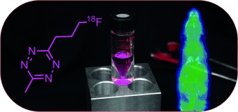 Entwicklung eines 18F-markierten Tetrazins mit vorteilhaften pharmakokinetischen Eigenschaften für die bioorthogonale Positronenemissionstomographie