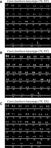 Details are in the caption following the image Details are in the caption following the image