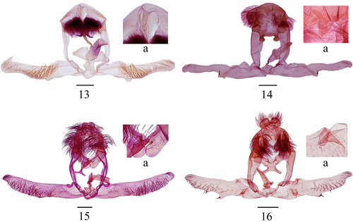 Details are in the caption following the image