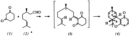 Stereocontrolled Intramolecular Diels-Alder Reaction of Heterodienes; Studies on the Synthesis of Cannabinoids