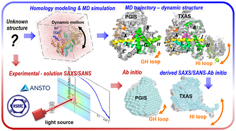 Molecular dynamics simulation combined with small-angle X-ray/neutron scattering defining solution-state protein structures