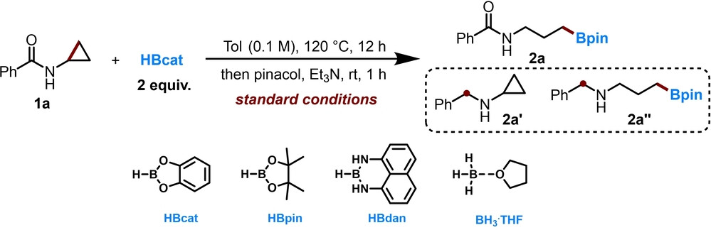 Selective Hydroboration of C−C Single Bonds without Transition-Metal Catalysis