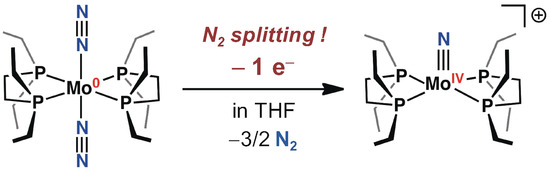 Dinitrogen-Molybdenum Complex Induces Dinitrogen Cleavage by One-Electron Oxidation