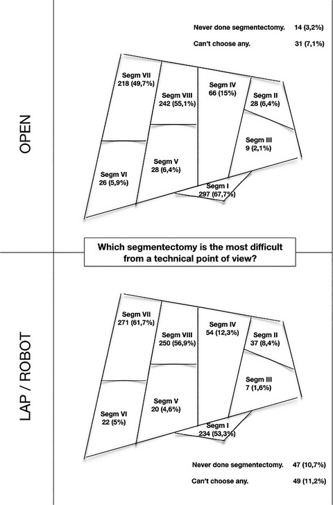 A snapshot of the 2020 conception of anatomic liver resections and their applicability on minimally invasive liver surgery. A preparatory survey for the Expert Consensus Meeting on Precision Anatomy for Minimally Invasive HBP Surgery