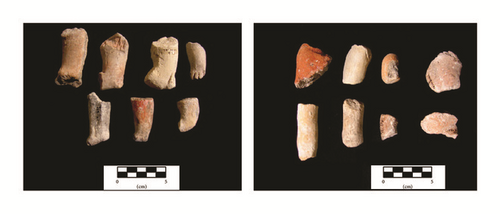 Details are in the caption following the image Details are in the caption following the image