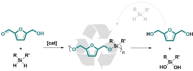 Highly Efficient Synthesis of Poly(silylether)s: Access to Degradable Polymers from Renewable Resources