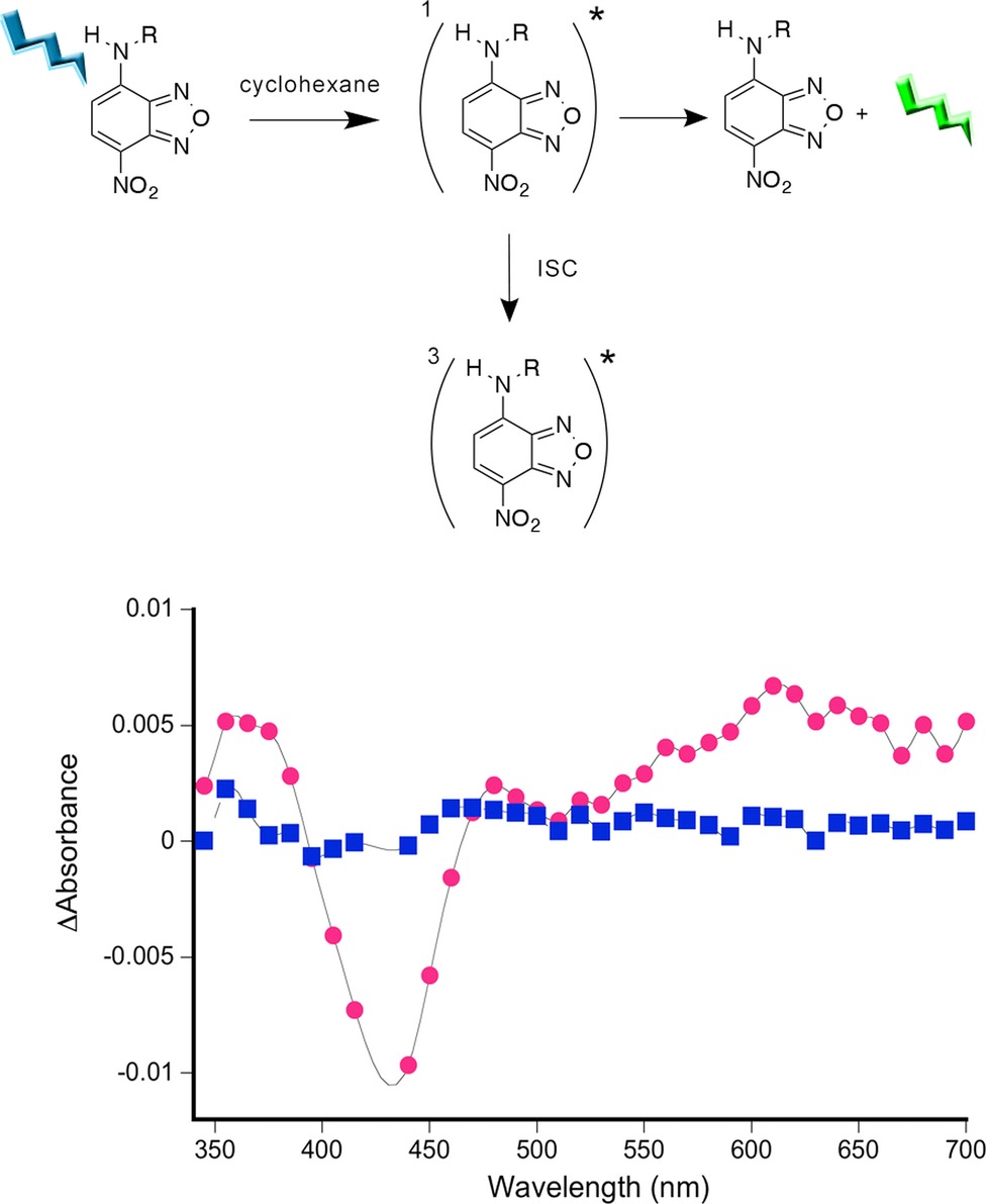 Unveiling the Triplet State of a 4-Amino-7-Nitrobenzofurazan Derivative in Cyclohexane