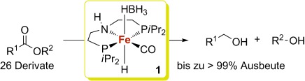 Hydrierung von Estern zu Alkoholen mit einem definierten Eisenkomplex