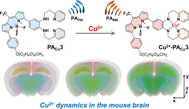 A Small-Molecule Ratiometric Photoacoustic Probe for the High-Spatiotemporal-Resolution Imaging of Copper(II) Dynamics in the Mouse Brain