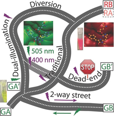 Dual Illumination Enhances Transformation of an Engineered Green-to-Red Photoconvertible Fluorescent Protein