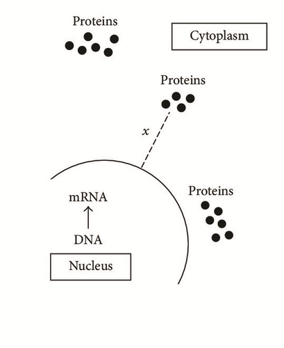 Details are in the caption following the image