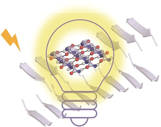 The Intrinsic Fluorescence of Peptide Self-Assemblies Across pH Levels