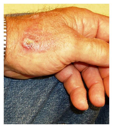 Details are in the caption following the image Details are in the caption following the image