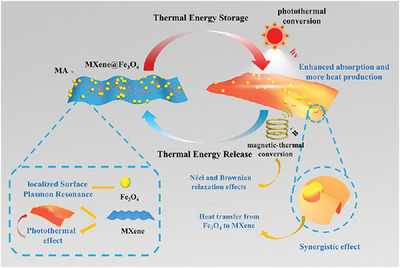 Magnetically accelerated thermal energy storage within Fe3O4-anchored MXene-based phase change materials