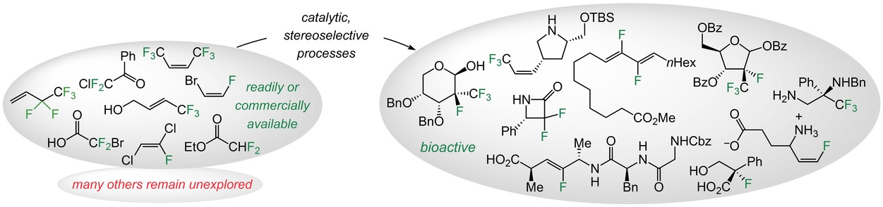 Catalytic and Stereoselective Transformations with Easily Accessible and Purchasable Allyl and Alkenyl Fluorides