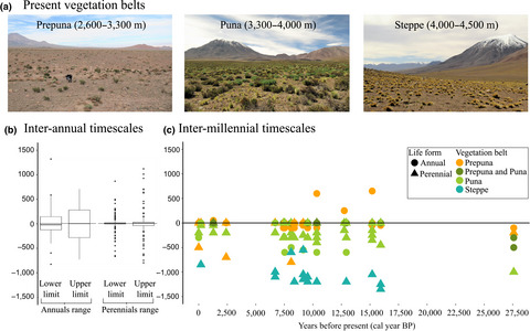Multiscale climate change impacts on plant diversity in the Atacama Desert