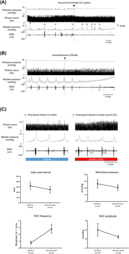 Details are in the caption following the image Details are in the caption following the image