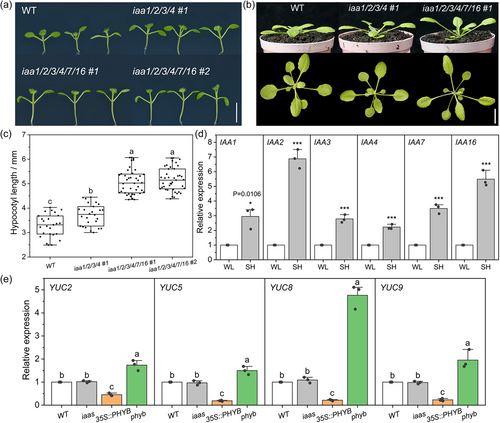 Details are in the caption following the image Details are in the caption following the image