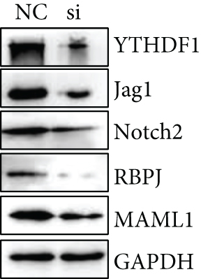 Details are in the caption following the image