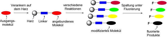 Ein fluorierend spaltbarer Linker für die kombinatorische Festphasensynthese