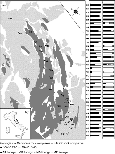 Details are in the caption following the image Details are in the caption following the image