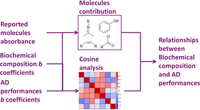 Near-Infrared Spectrum Analysis to Determine Relationships between Biochemical Composition and Anaerobic Digestion Performances