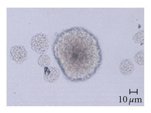 Details are in the caption following the image
