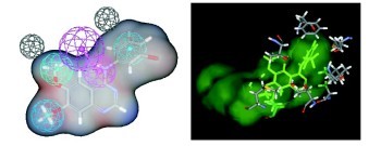 Pharmacophore Modeling of Tyrosine Kinase Inhibitors: 4-Anilinoquinazoline Derivatives