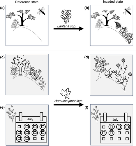 Details are in the caption following the image