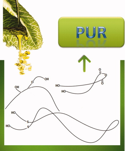 Original diols from sunflower and ricin oils: Synthesis, characterization, and use as polyurethane building blocks