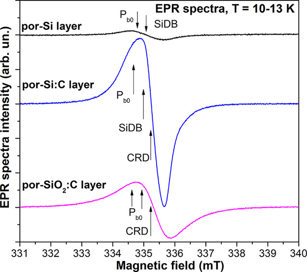 EPR Study of Porous Si:C and SiO2:C Layers