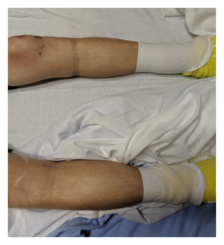 Details are in the caption following the image Details are in the caption following the image