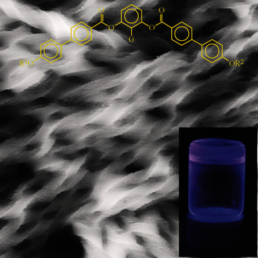 Monolayer Filaments versus Multilayer Stacking of Bent-Core Molecules
