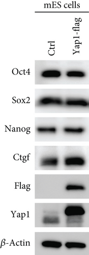 Details are in the caption following the image