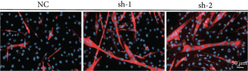 Details are in the caption following the image