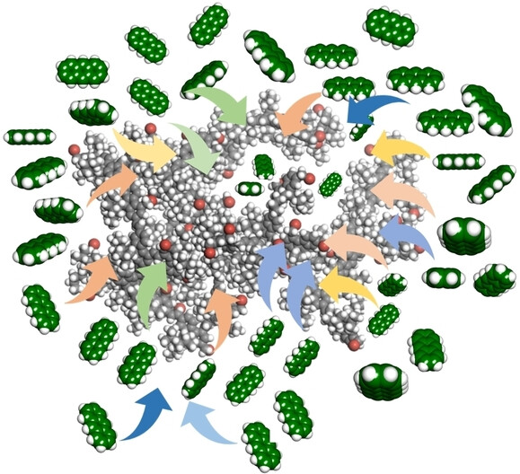 Amplified Chirality Transfer to Aromatic Molecules through Non-specific Inclusion by Amorphous, Hyperbranched Poly(fluorenevinylene) Derivatives