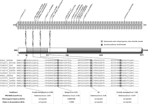 Details are in the caption following the image Details are in the caption following the image