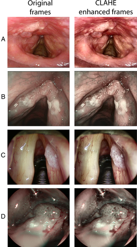 Details are in the caption following the image Details are in the caption following the image