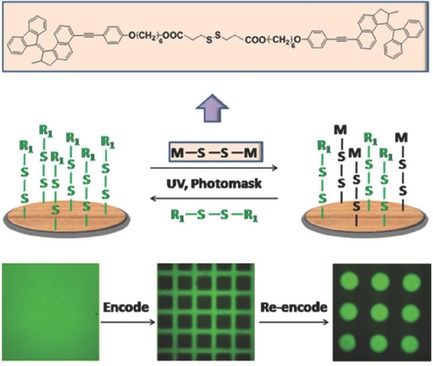 Reprogrammable Assembly of Molecular Motor on Solid Surfaces via Dynamic Bonds