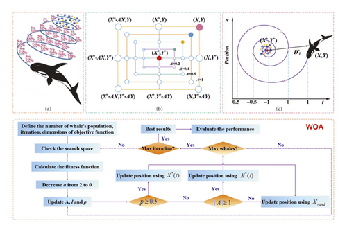 Details are in the caption following the image Details are in the caption following the image