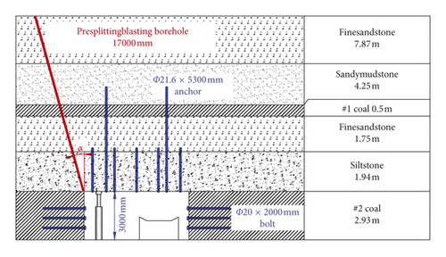 Details are in the caption following the image Details are in the caption following the image