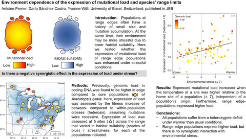 Environment dependence of the expression of mutational load and species’ range limits