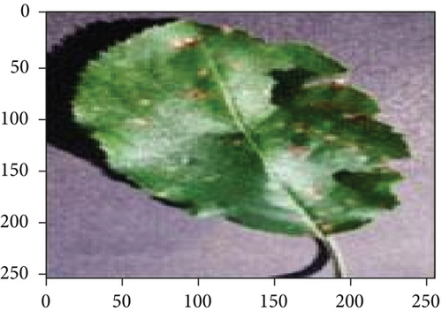 Details are in the caption following the image Details are in the caption following the image