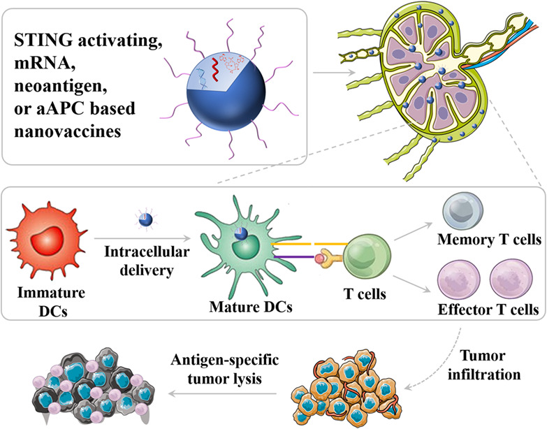 Nanovaccines for cancer immunotherapy Issue 5, 2019