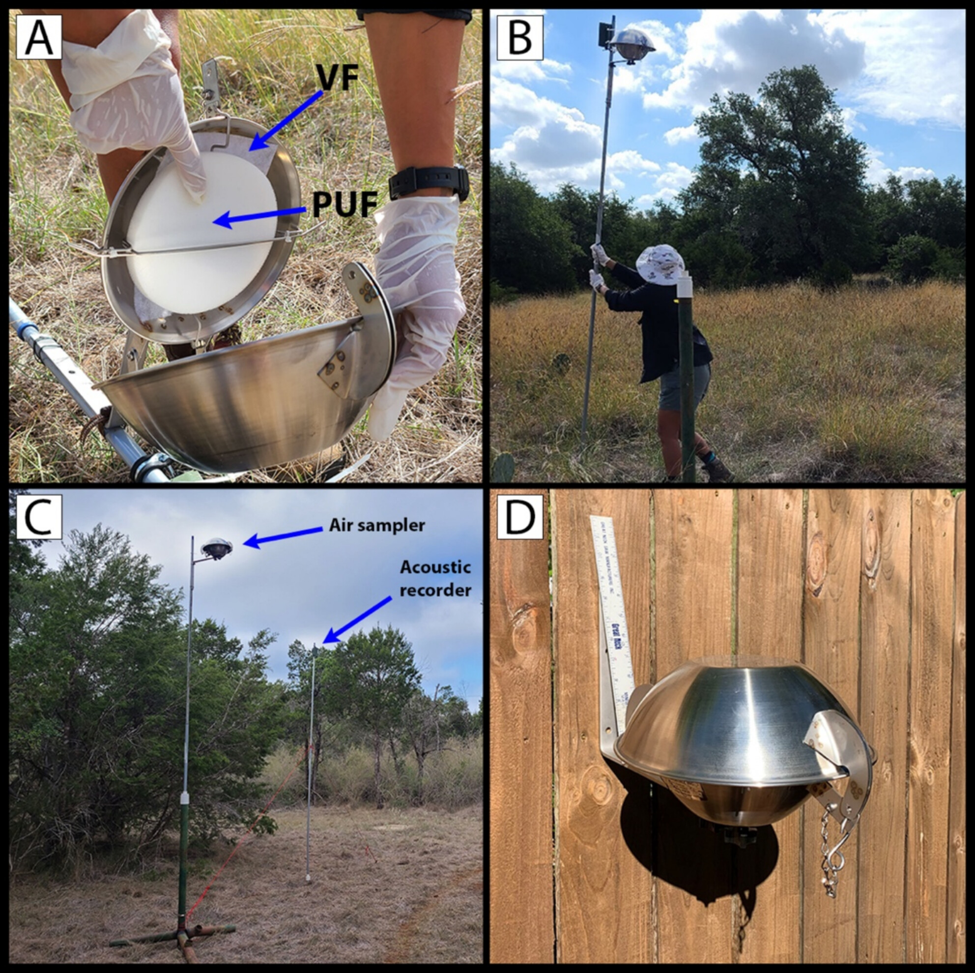 Out in the Open: Investigating Passive Airborne eDNA Detection of Bats at Artificial Feeding Stations