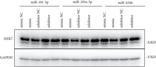 Details are in the caption following the image