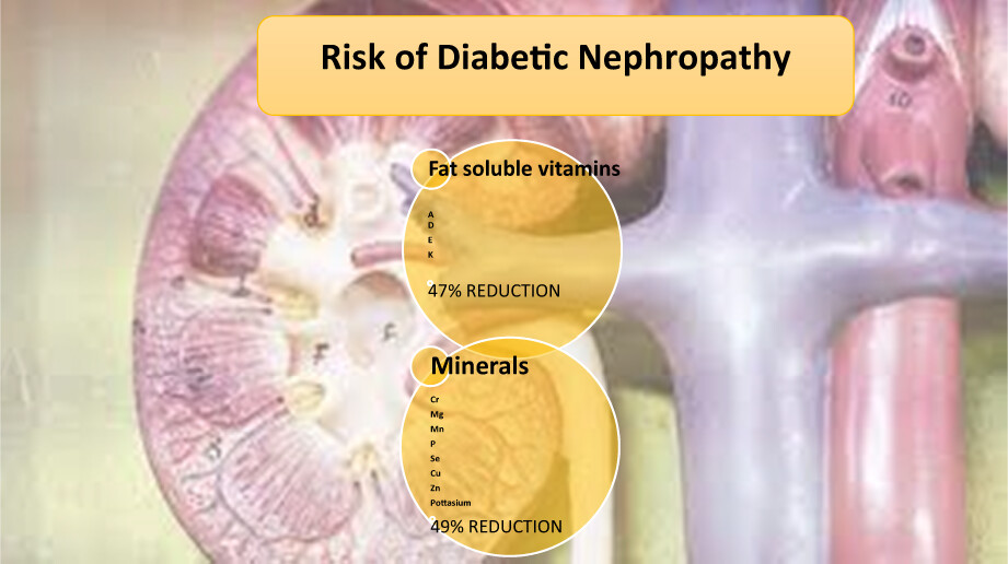 The association between dietary micronutrient patterns and odds of diabetic nephropathy: A case–control study