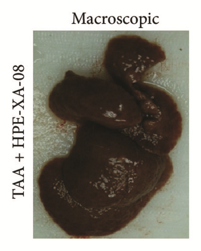 Details are in the caption following the image